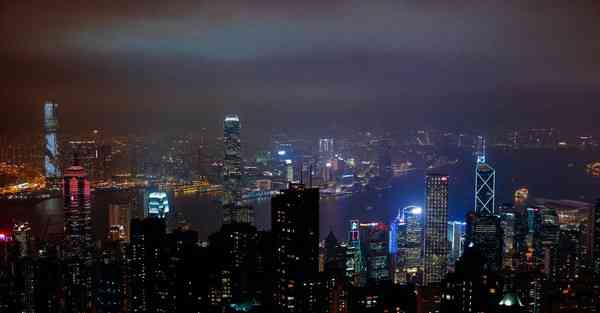 布谷鸟加速器下载地址