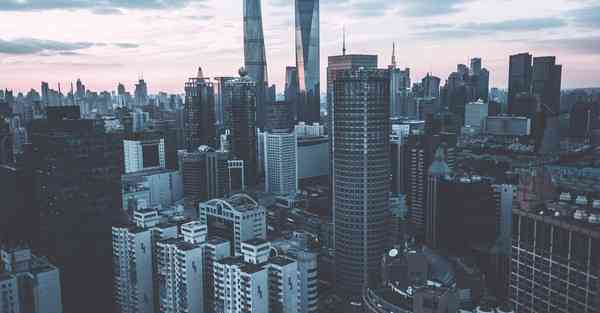 NPN软件