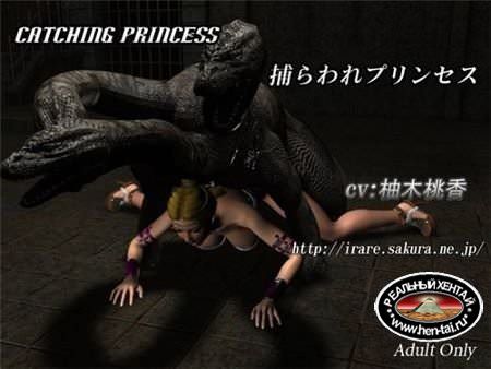 Catching Princess / Пленение принцессы (jap) (2013) DLversion