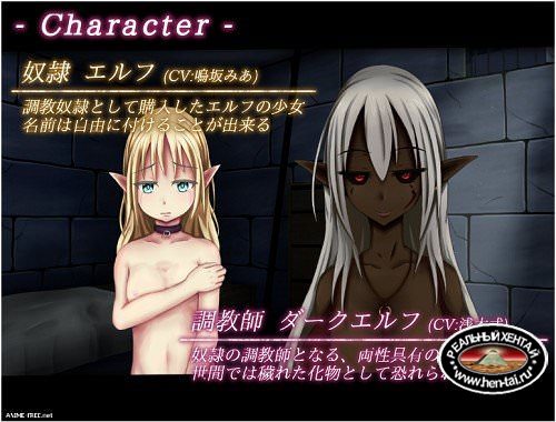 Elves of the Lewd Cage [Ver.1.0] (2018/PC/Japan)